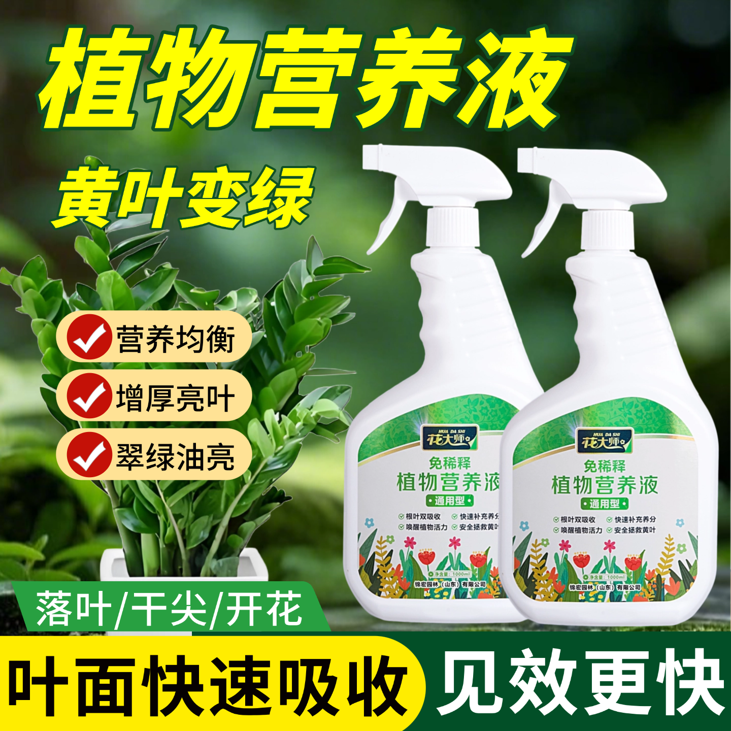 花大师免稀释植物营养液通用型绿植发财树绿萝花卉水培富贵竹专用叶面肥 【花友推荐】免稀释营养液+通用花肥