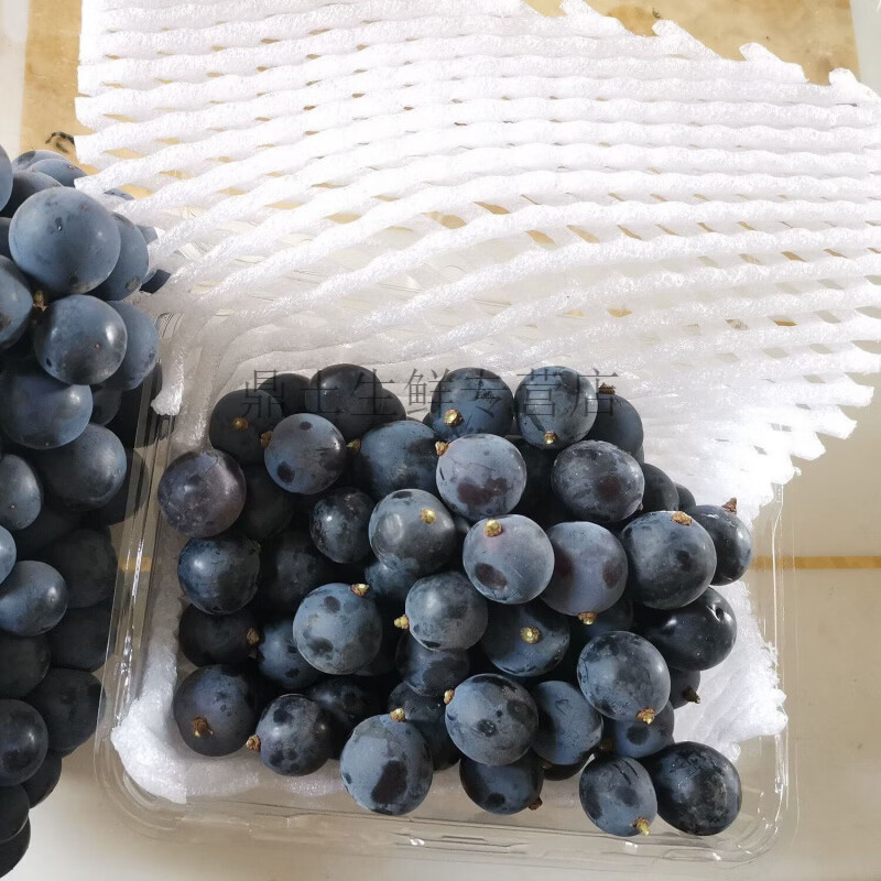 云南夏黑葡萄小粒散养蓝莓葡萄无籽黑提新鲜水果剪粒装便利装 夏黑葡萄颗粒2斤装