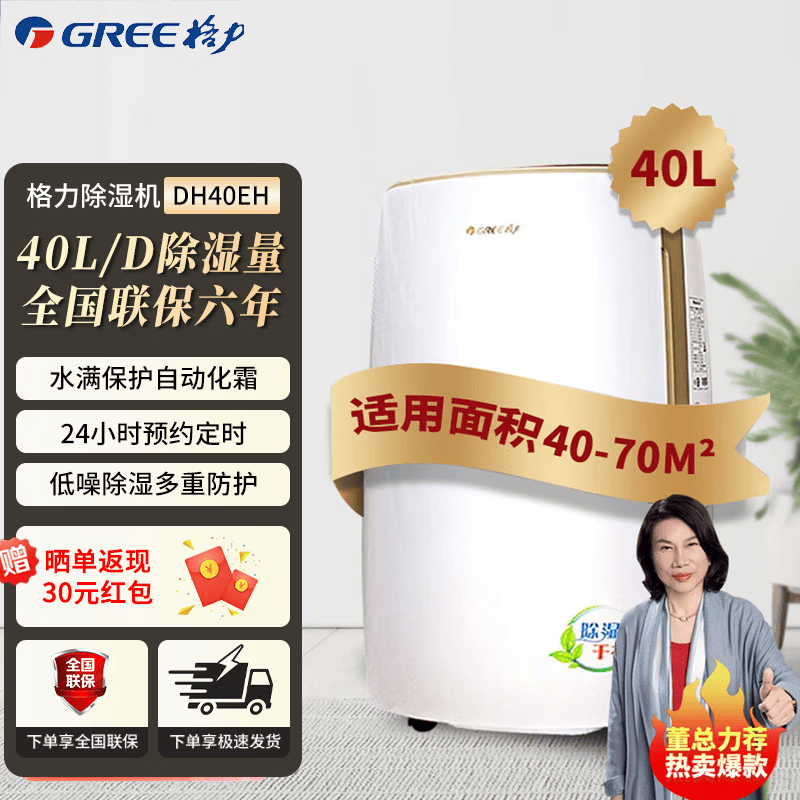 格力（GREE）除湿机家用客厅卧室智能除湿器轻音全屋祛味除潮湿气抽湿机室内吸湿机湿器地下室干燥机回南天除湿 40L/天 40-70㎡ DH40EH