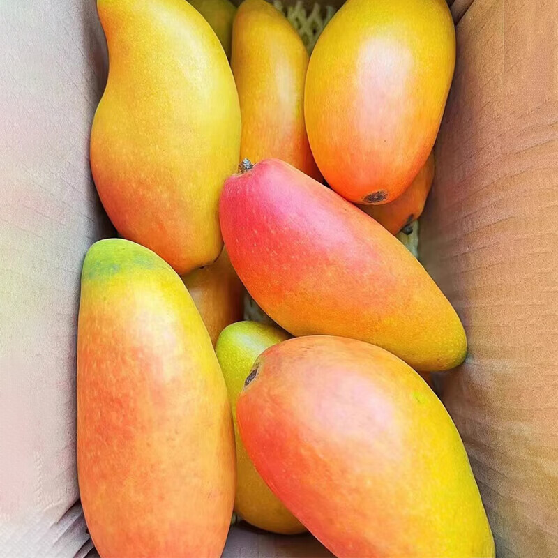 鲜宝道海南贵妃芒果新鲜热带应季水果 当季甜心 4斤贵妃芒单果100-200克净重4斤