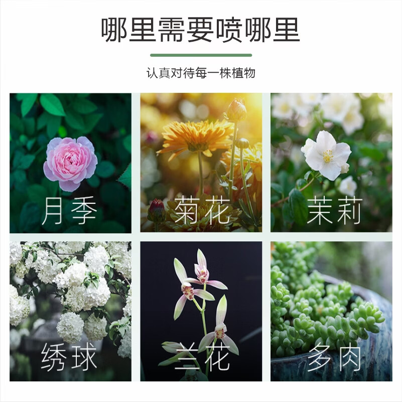 摩登农夫大白月季玫瑰菌虫净三合一食用香辛料提取原料幼宠超安全 500mL