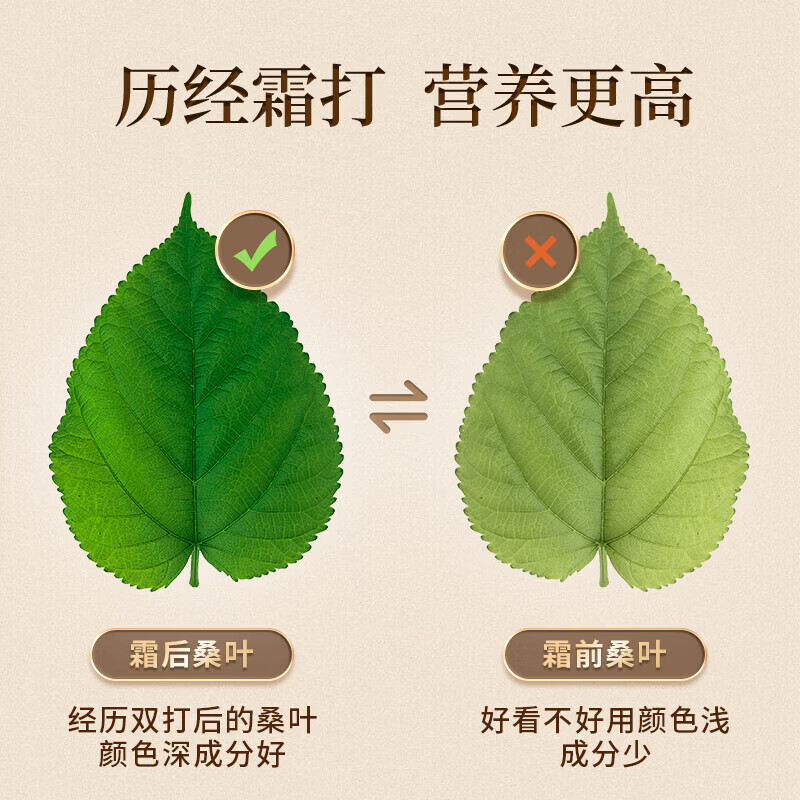 同仁堂(TRT)正宗特级胖东来代购新鲜桑叶茶霜打过的干桑叶霜后茶泡水的养生茶 特级桑叶茶 150g*4罐 干净无杂