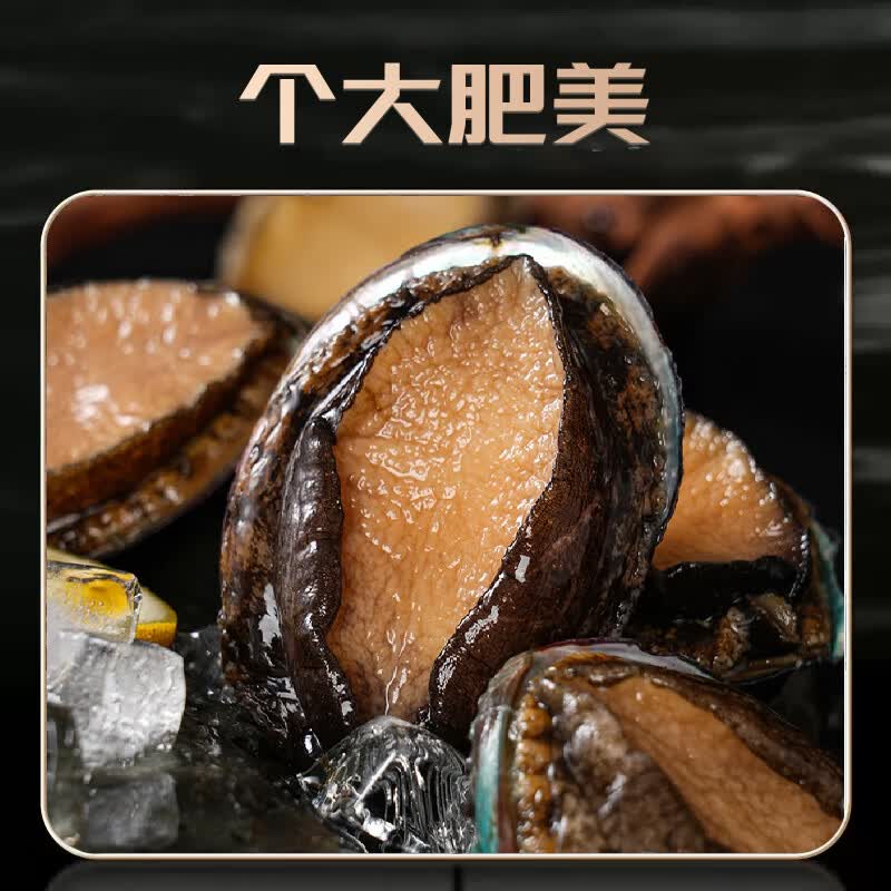 鲜冻大鲍鱼 500g/8头 鲜活速冻肉质肥美 海鲜火锅捞汁煲汤烧烤 鲜冻鲍鱼8只(500±50g)*1盒