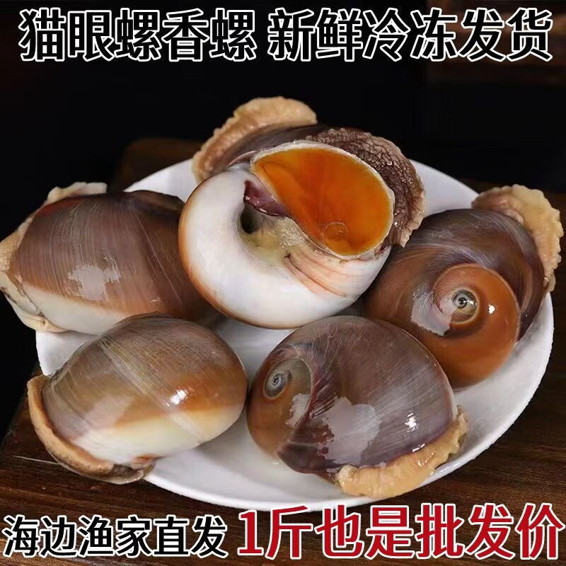 新鲜活冻冷冻猫眼螺香海螺海鲜水产贝类爆炒食材饭店商用批发 精选猫眼螺[装] 2kg