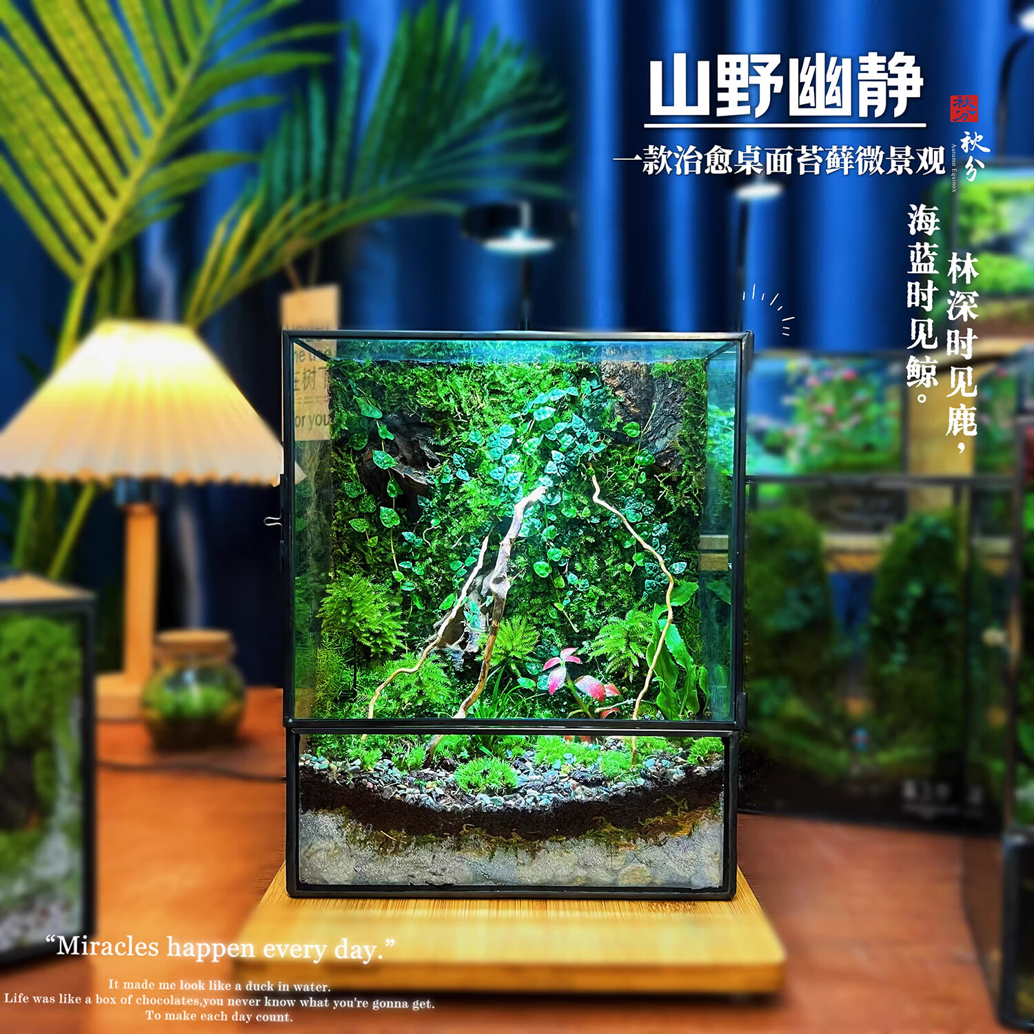 封茗网红趣味桌面绿植摆件苔藓微景观生态缸懒人养护生态闷养盒创意 【山间】