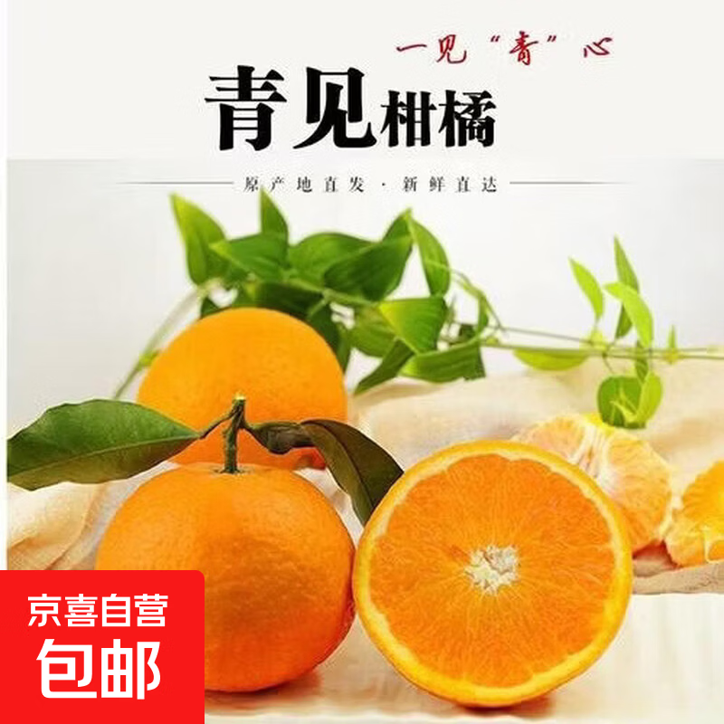 四川青见果冻橙新鲜橙子应季水果手剥橙子批发整箱包邮橙子 带箱1斤65mm+