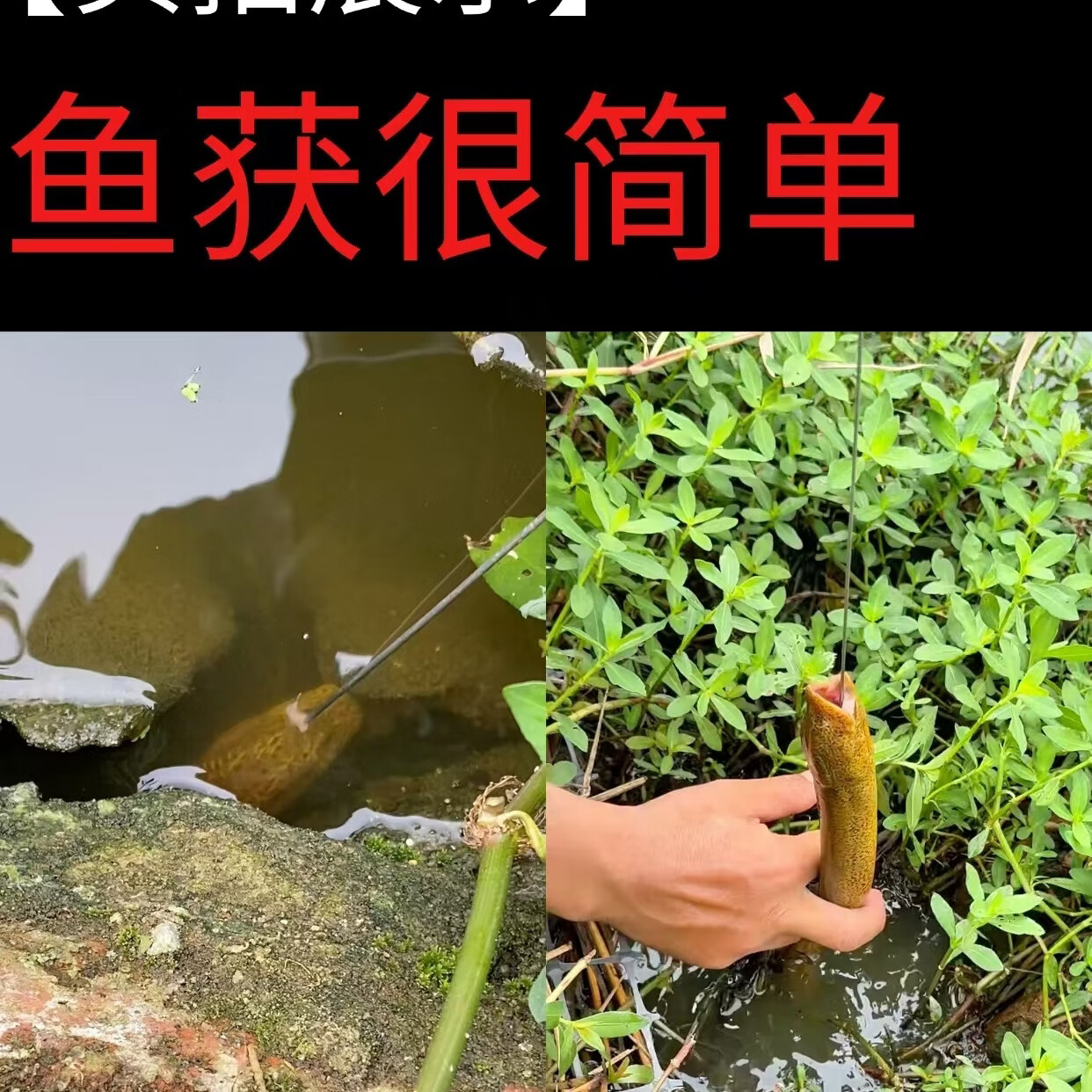 手柄防脱黄鳝檀木不锈钢钢丝鳝鱼冷弯倒刺手工纯手工鳝鱼钩加强版 手工微驼背钩 虎皮纹-304不锈钢1.0钩门5.3mm