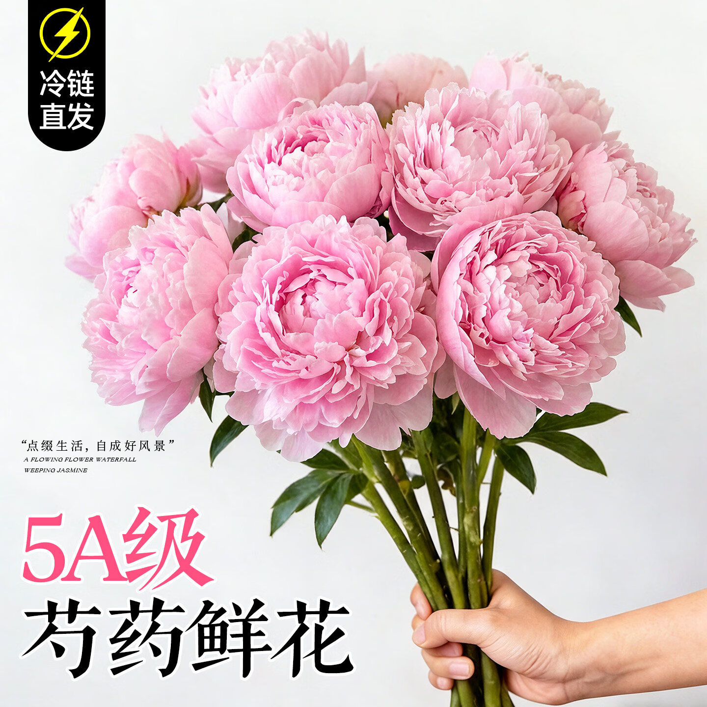 临雅芍药鲜花云南直发落日珊瑚重瓣花束进口山东油画牡丹百合鲜切花卉 5A特级重瓣粉色系*10枝