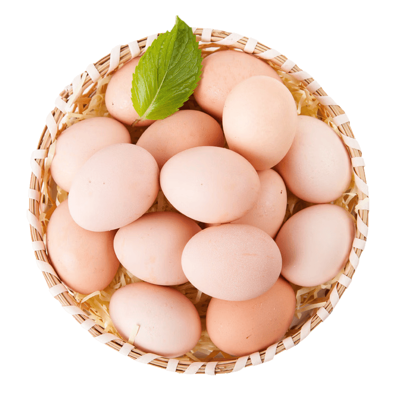 林下散养土鸡蛋正宗五谷饲养土鸡蛋现捡现发走地鸡蛋40g-45g 土鸡蛋20枚