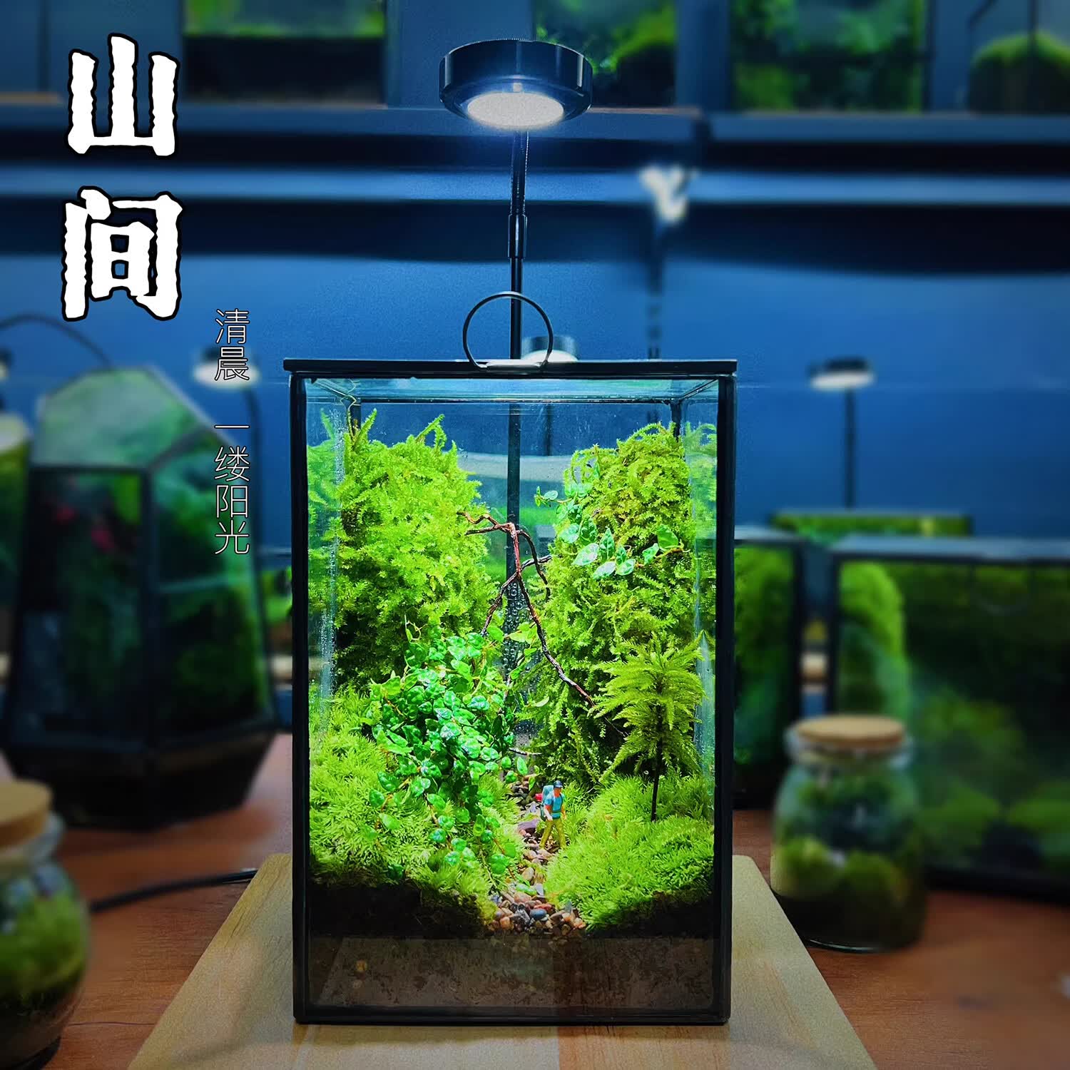 封茗网红趣味桌面绿植摆件苔藓微景观生态缸懒人养护生态闷养盒创意 精灵旅馆】升级版+植物灯
