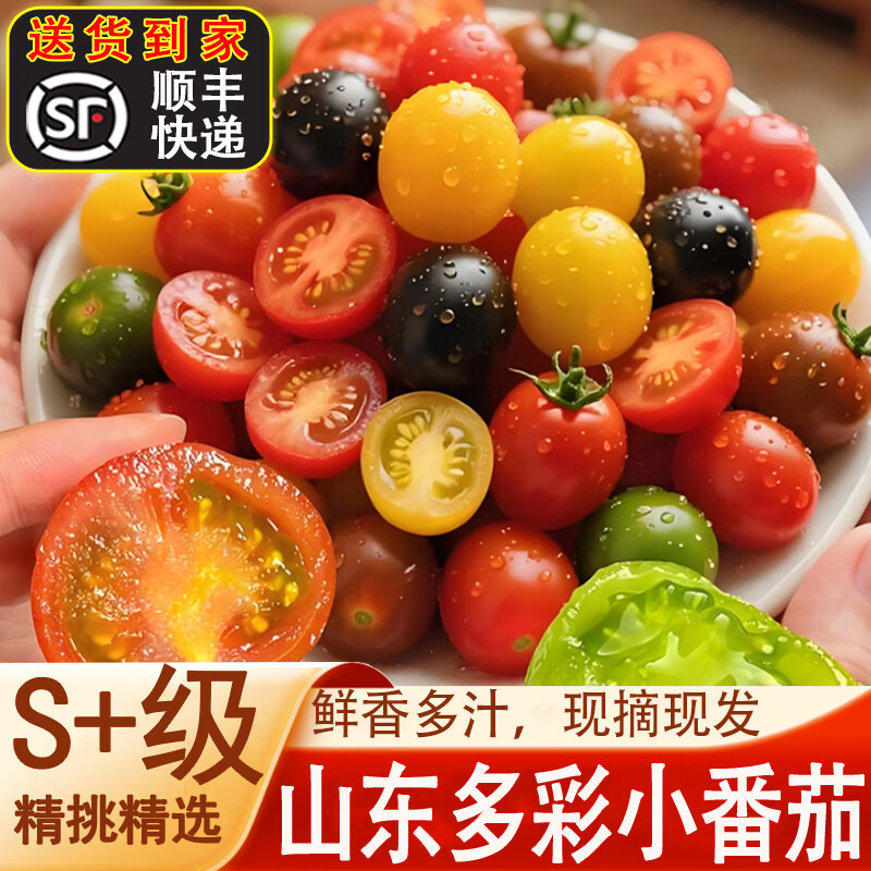 亩家田山东多彩小番茄新鲜水果现摘现发彩色小柿子清甜多汁圣女果混合装 精品多彩小番茄2斤装 5A级多彩圣女果（发5-7个品种） 顺丰快递