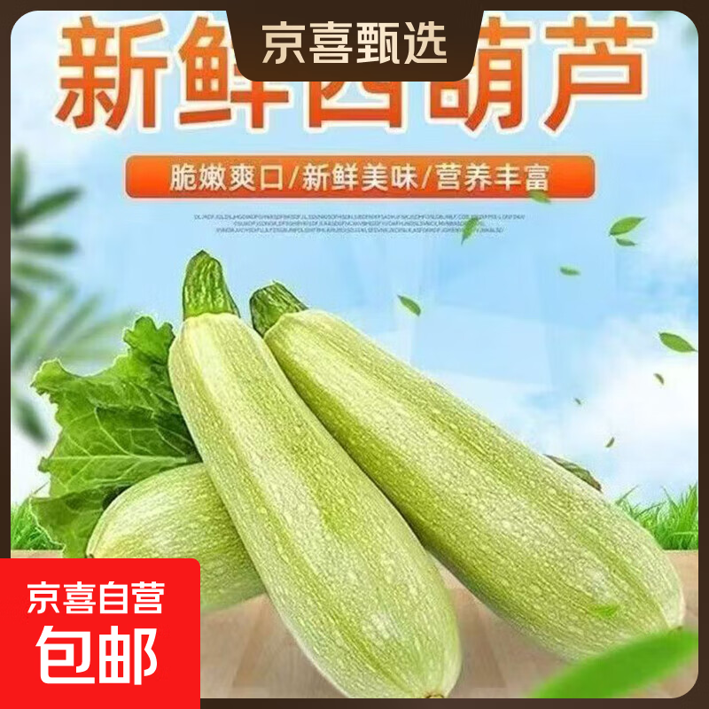 京喜加西葫芦农家自种新鲜蔬菜现摘生瓜三月小瓜番瓜倭茭瓜西葫芦 西葫芦带箱 2斤