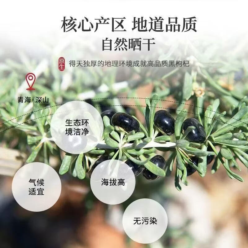 同仁堂（TRT）正宗青海黑枸杞子特级大果野生宁夏黑枸杞护目美颜辅助睡眠养生茶 [滋补肝肾]黑枸杞 200g*4罐