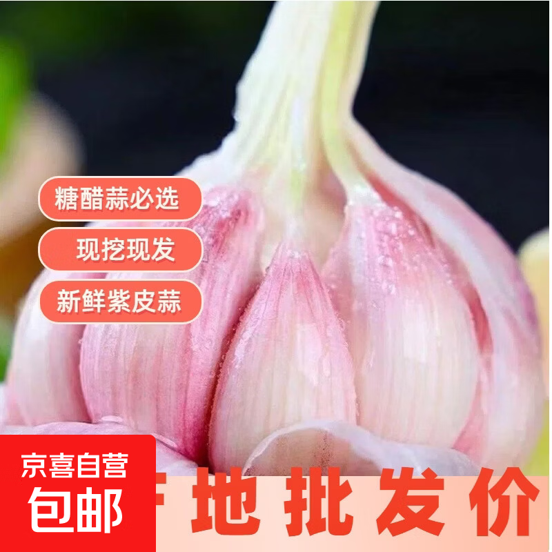 云南正宗紫皮大蒜现挖新鲜多瓣湿蒜鲜蒜糖蒜专用大蒜头 家庭款鲜蒜2斤中果