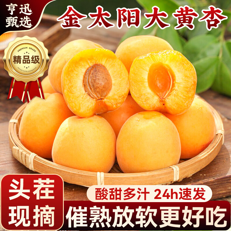 亨迅大黄杏子头茬现摘酸甜陕西凯特金太阳新鲜应季时令水果生鲜 头茬尝鲜丨净重4.5斤装
