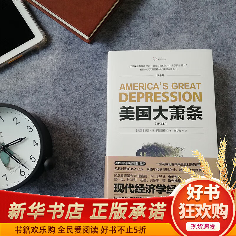 美国大萧条/新经济系列