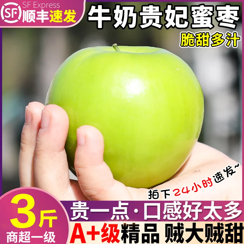 西双版纳苹果枣【巨无霸】牛奶大青枣冷链新鲜水果贵妃枣 3斤中大果【60-70g】高性价比