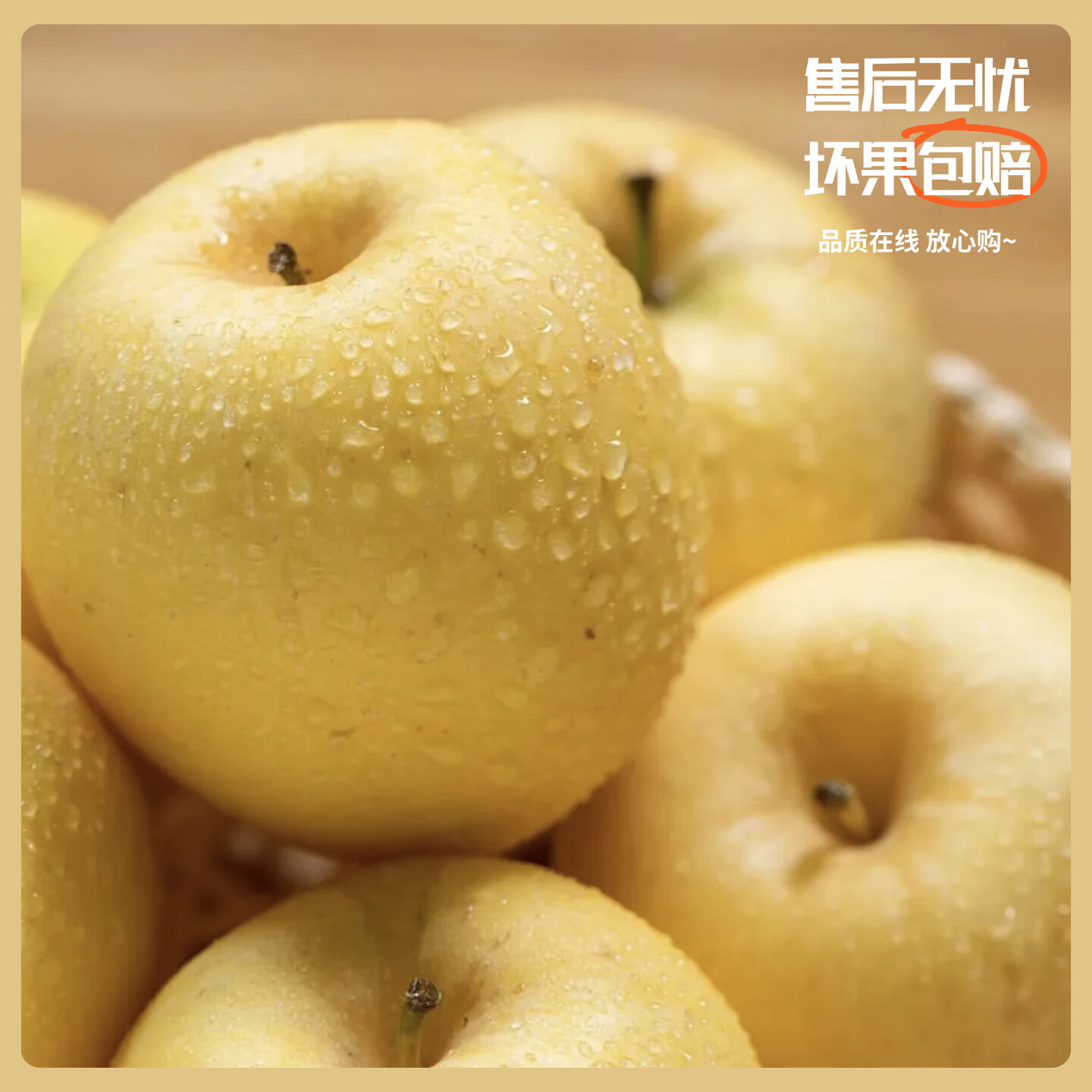 【山东特产】正宗维纳斯苹果脆甜多汁应季甜蜜多汁水果年货节送礼 4斤【金斑美人】10-12枚 果径75-80mm｜净重4斤