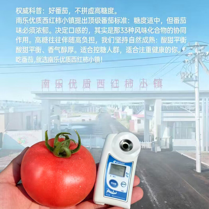 莎凰新鲜自然熟沙瓤西红柿 豫艺优五口感沙瓤番茄 4.5斤 生鲜属于消耗品上线浮动50g