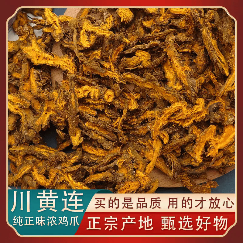 【地狱级苦味】四川老川黄连 三颗针清心火圣品 熬夜上火党必备 地狱苦川连 500g*1包