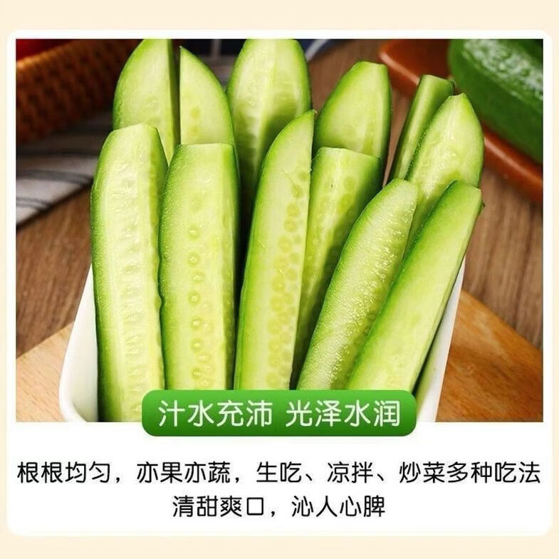 农家种植绿黄瓜爽口脆甜苏北新鲜当季现摘生吃水果小黄瓜减脂简餐 当日采摘 5斤 净重