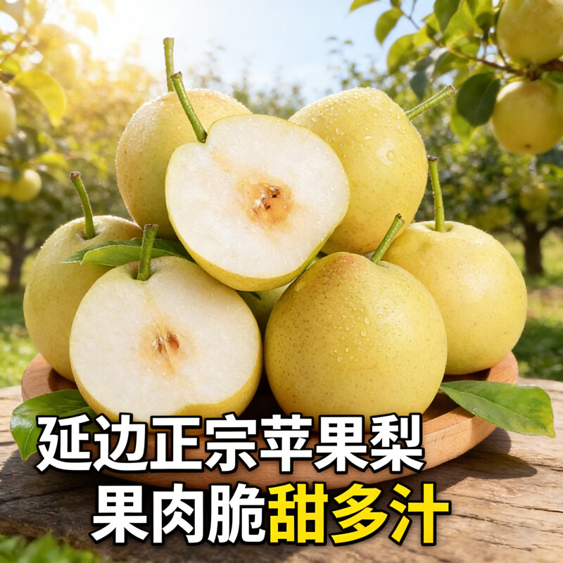 现摘现发一整箱10斤正宗延边苹果梨当季现摘现发皮薄肉厚新鲜 约带箱10斤（净重8.5斤起）