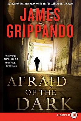 预订 afraid of the dark: a novel of suspense