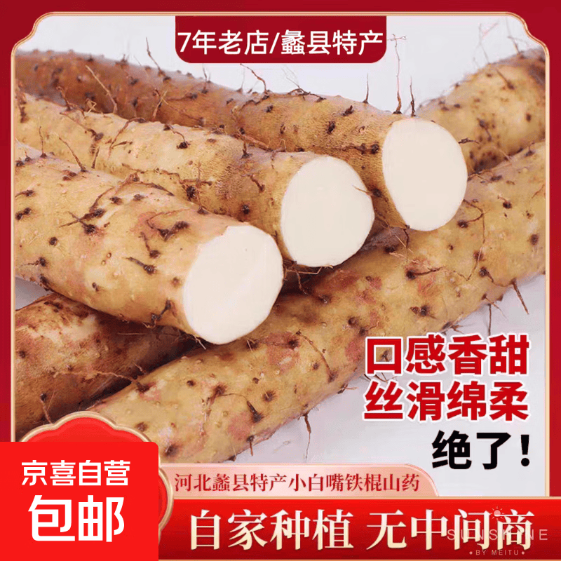 正宗小白嘴山药新鲜现挖产地直发铁棍山药怀山药低脂健康辅食蔬菜 小白嘴山药500g 15cm-30cm
