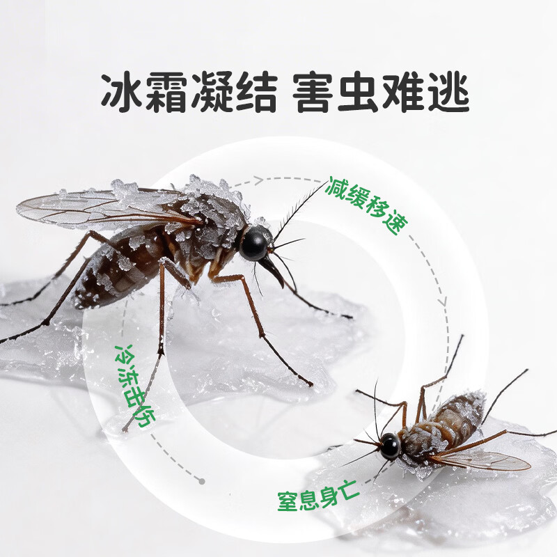 绿鼻子（green nose）杀虫气雾剂冷冻灭杀小飞虫灭蟑螂爬虫害虫驱蚊喷雾家用 冷冻杀虫气雾剂*3瓶
