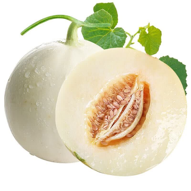 京典光年陕西阎良甜瓜 产地直发头茬现摘香瓜应季时令水果生鲜 【商超品质】净重4.5-5斤彩箱装