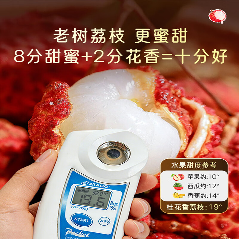 机林有果【顺丰空运】海南妃子笑荔枝新鲜孕妇水果礼盒当季整箱现摘 顺丰空运【空运快人一步】 超高回购 5斤大果【单果20-30g】