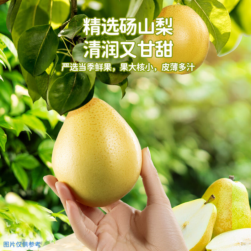 小鹿蓝蓝梨膏蜜桃润梨膏宝宝饮料秋梨膏冲水砀山酥梨凝萃即冲 罗汉果枇杷润梨膏 210g*1瓶