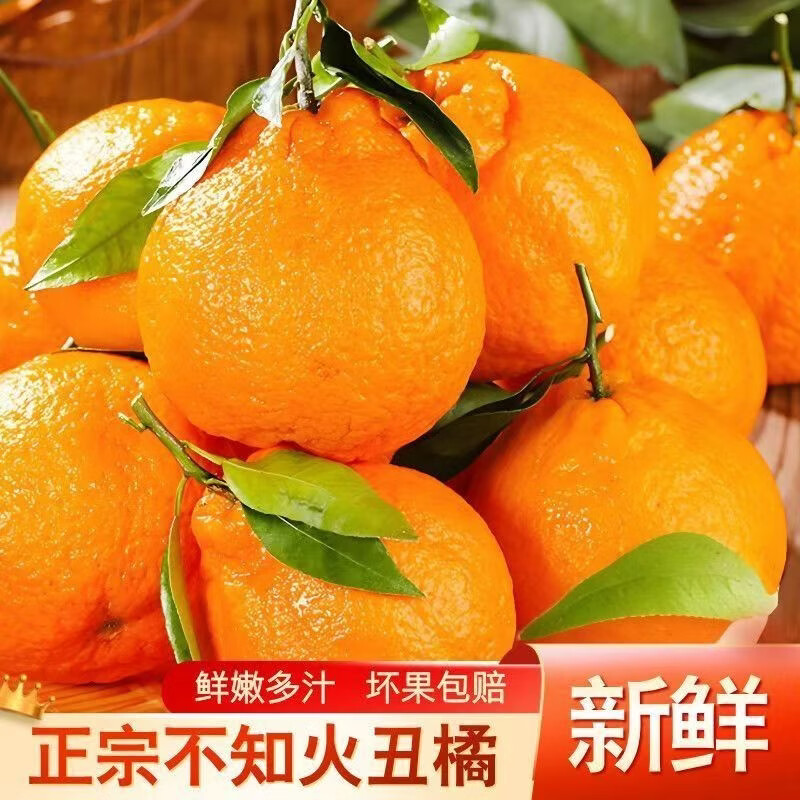 春公子四川丑橘不知火当季新鲜现摘应季水果桔子丑八怪 带箱3斤 大果【果径75-80mm】新鲜超甜