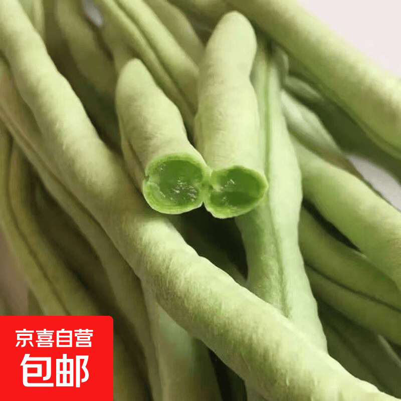 山东新鲜蔬菜无筋豆四季豆架豆王鲜嫩脆爽老少皆宜 精选带箱2斤装（净重1.8斤）