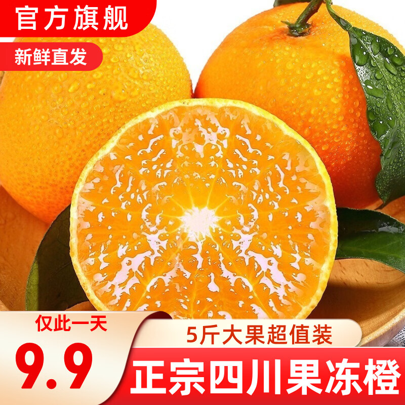 正宗四川青见果冻橙柑橘子新鲜水果生鲜果冻橙酸甜口生鲜整箱 精选5斤超值装70mm净重4.0斤+