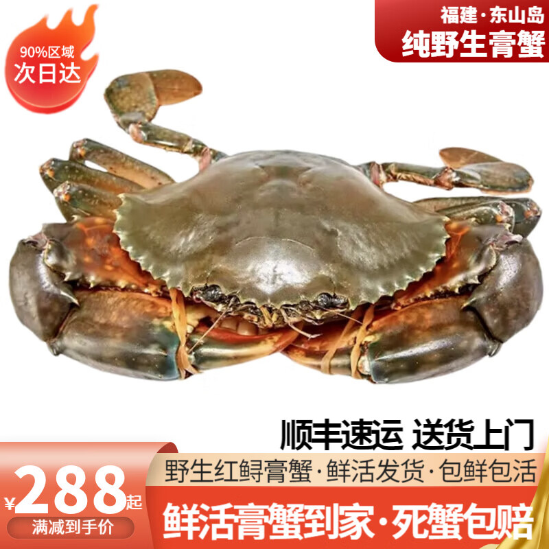 【活鲜】东山岛红膏蟹 青蟹 福建野生红鲟 黄油螃蟹 海鲜 2斤*3-5只公母搭配