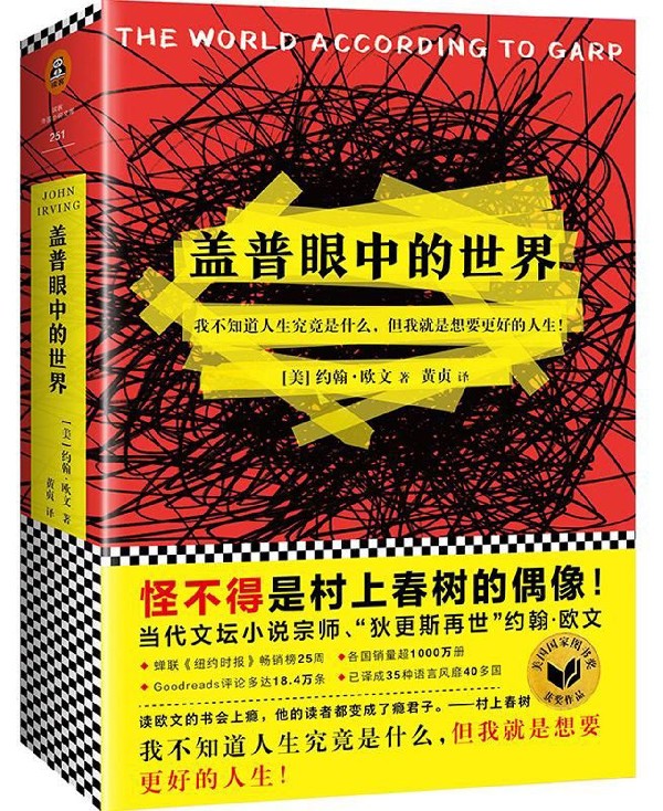 盖普眼中的世界