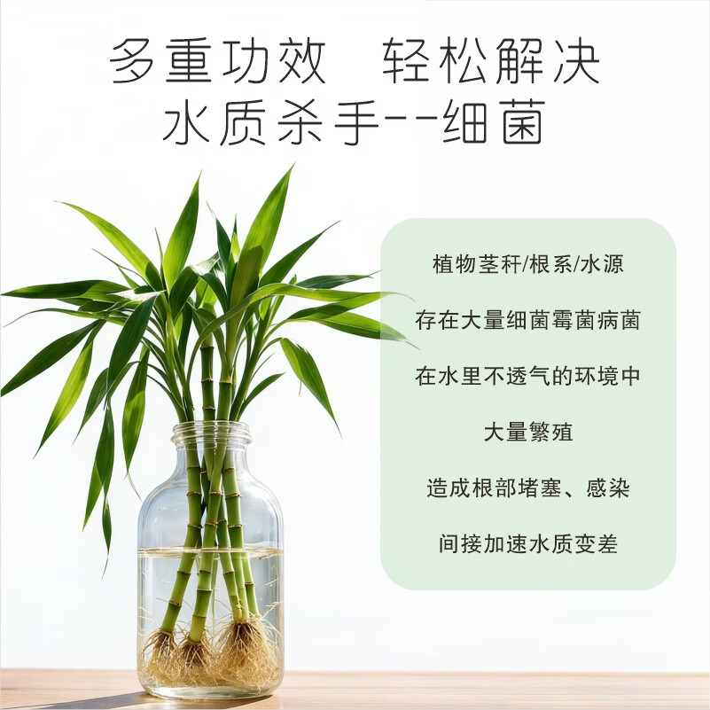 摩登农夫合先青苔净化液水培护根净水防蚊防菌病毒 100ml