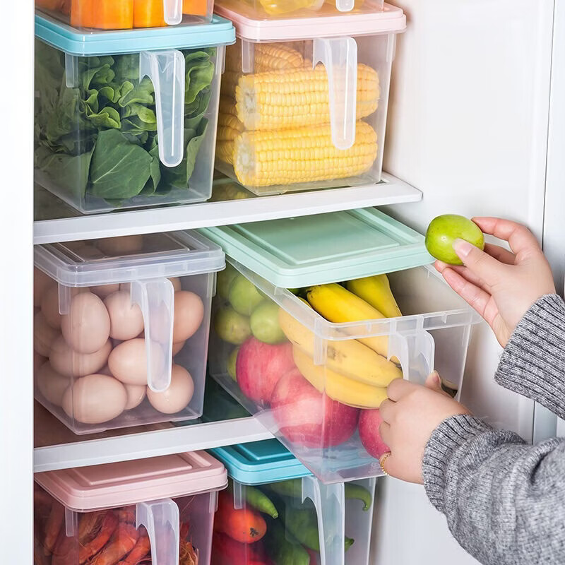 洋臣冰箱收纳盒杂物收纳盒储物密封带手柄收纳盒冰箱储物盒带盖保鲜盒 冰箱收纳盒5L大容量【透明白 带盖】*2