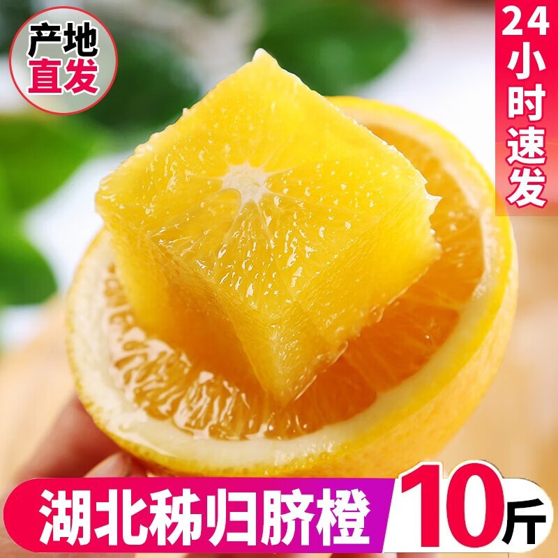怎么查橙子历史价格|橙子价格比较