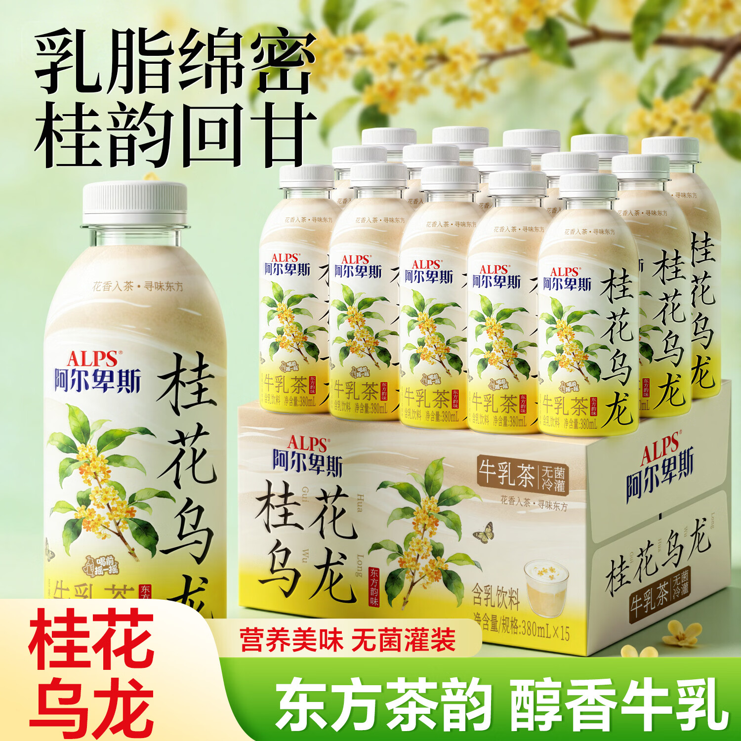 阿尔卑斯桂花乌龙牛乳茶380ml瓶装饮品商超饭店同款网红款饮料正品包邮 桂花乌龙牛乳茶1箱【380ml*15瓶】整箱更划算
