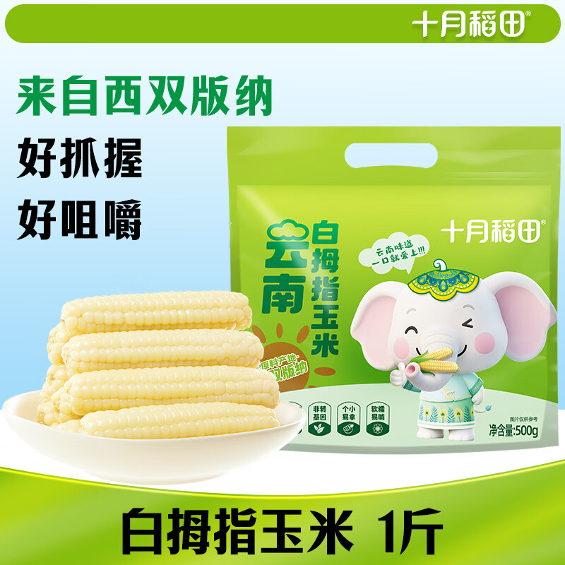 十月稻田 白拇指玉米 1斤(8~12根) 手指小玉米 真空 儿童早餐 西双版纳