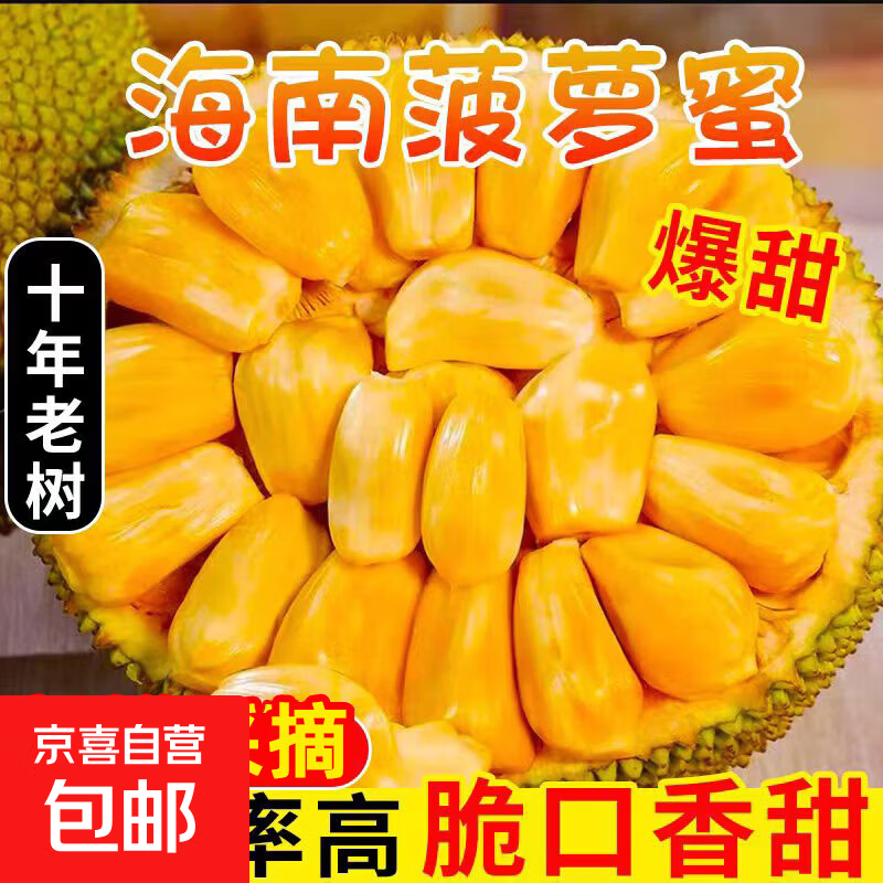 海南黄肉菠萝蜜新鲜水果生鲜一整个大果波罗蜜三亚特产包邮 净重15-20斤【中果一人独享】