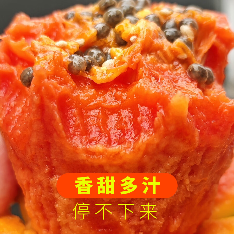 川粤蓉姐正宗雷州冰糖心红心木瓜 精品果 新鲜现摘 软糯香甜 当季水果 精品果净重4.6-5斤 2-4个装【家庭装】