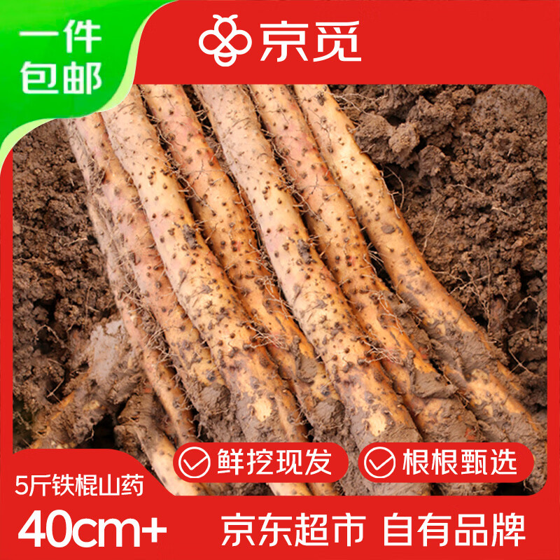 京觅焦作温县垆土铁棍山药净重5斤40cm+淮山药怀山药新鲜特产源头直发