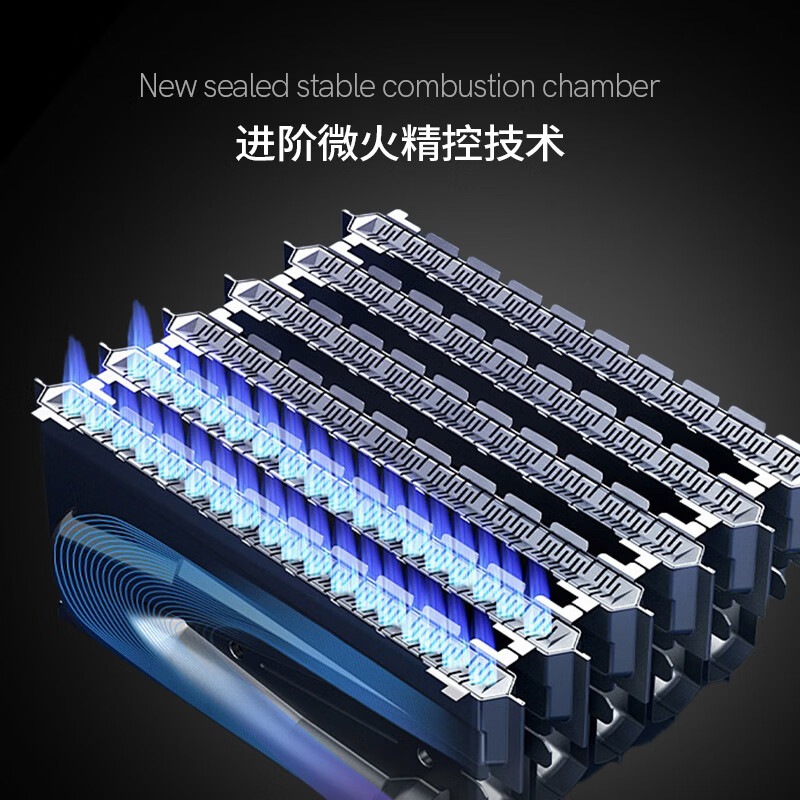 CROWN平衡式燃气热水器 浴室专用款 智能恒温水气双调 直流变频风机抗8级大风低温电热防冻铜水箱 12L 天然气 含安装