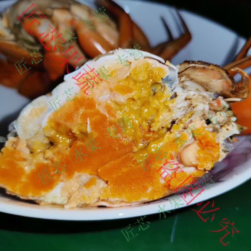 青蟹正宗海南和乐蟹肥美鲜活海南精选特产蟹黄饱满肉肥海鲜包活 满膏母蟹2只装(4两一只)