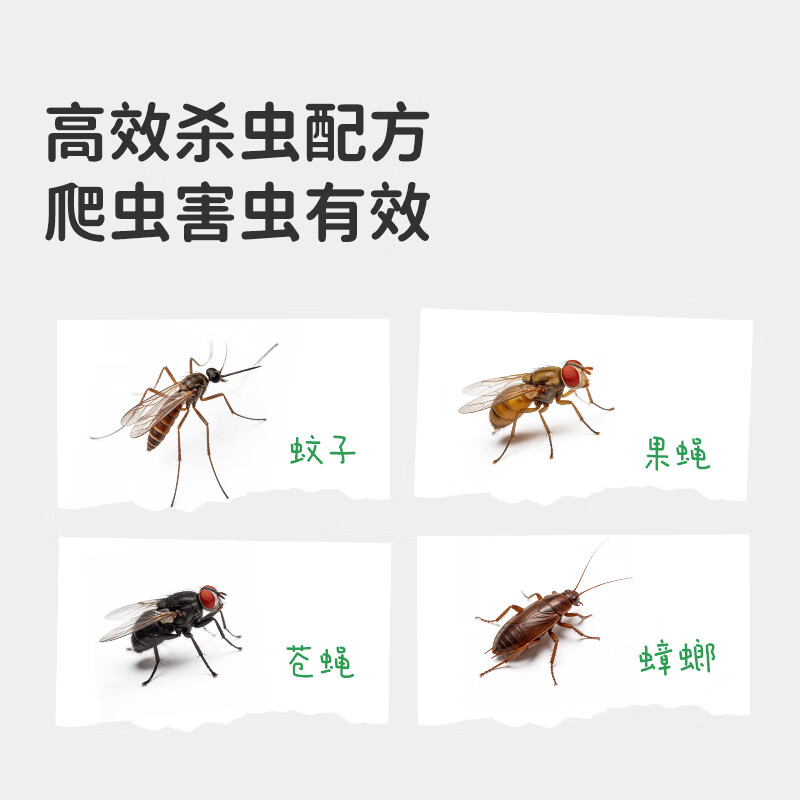 绿鼻子（green nose）杀虫气雾剂冷冻灭杀小飞虫灭蟑螂爬虫害虫驱蚊喷雾家用 冷冻杀虫气雾剂*3瓶