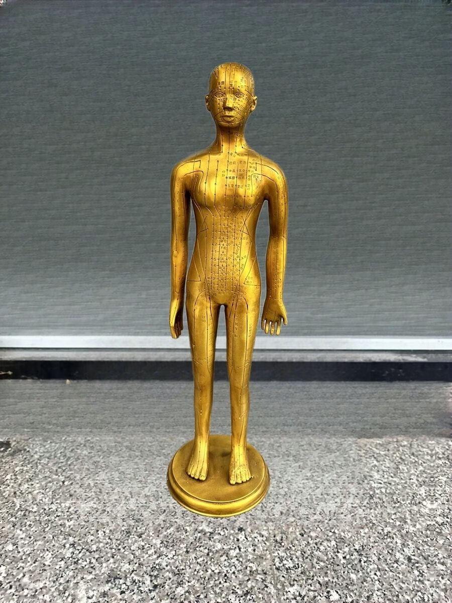 人体针灸模型人经络穴位中医全身十二铜人模特图练习小皮人可扎针 60