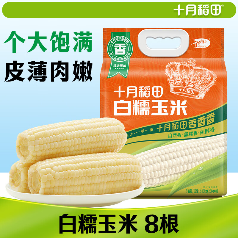 十月稻田 白糯玉米 8根 4.16斤 东北甜粘玉米 非转基因 低脂早餐